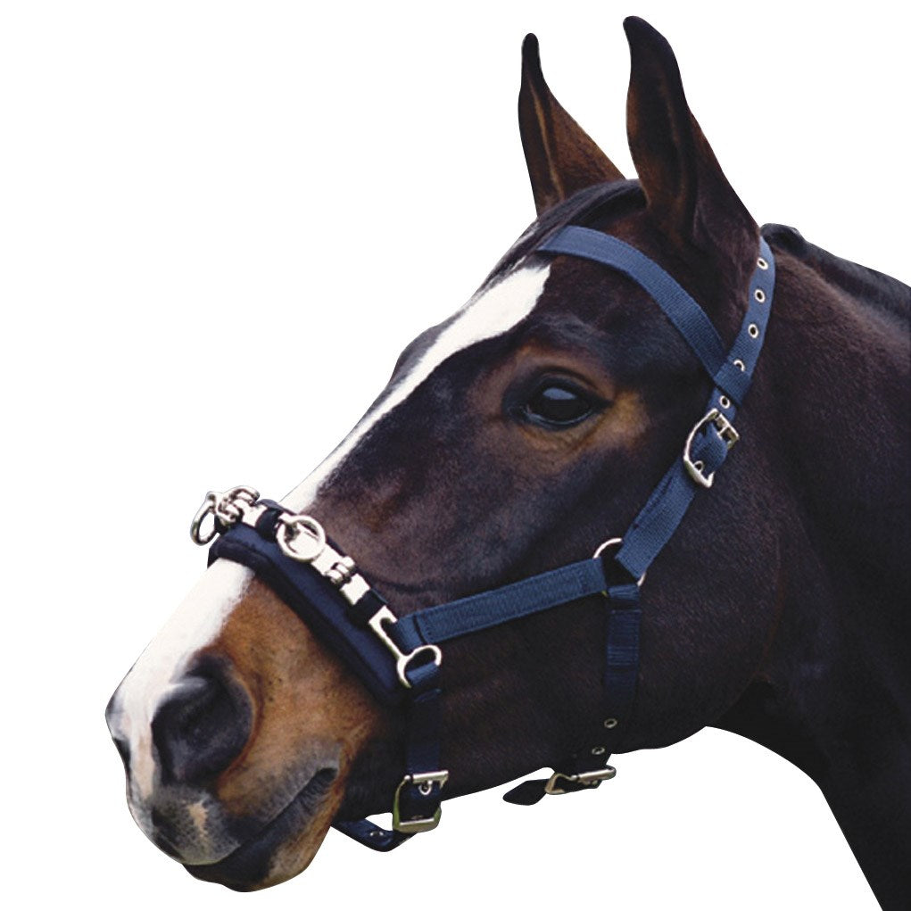 Kincade - Lunge Cavesson – Rangiora Equestrian Supplies
