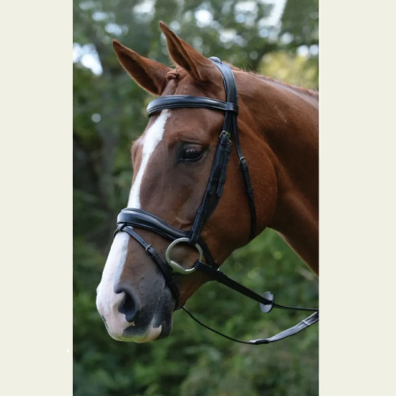 Comfort Anatomical Bridle