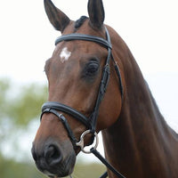 Hanoverian Bridle