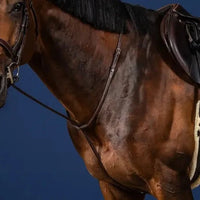 US Hunter Standing Martingale - Brown