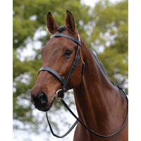 Flat Cavesson Bridle