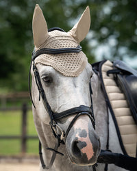 Salerno Bridle - Brown