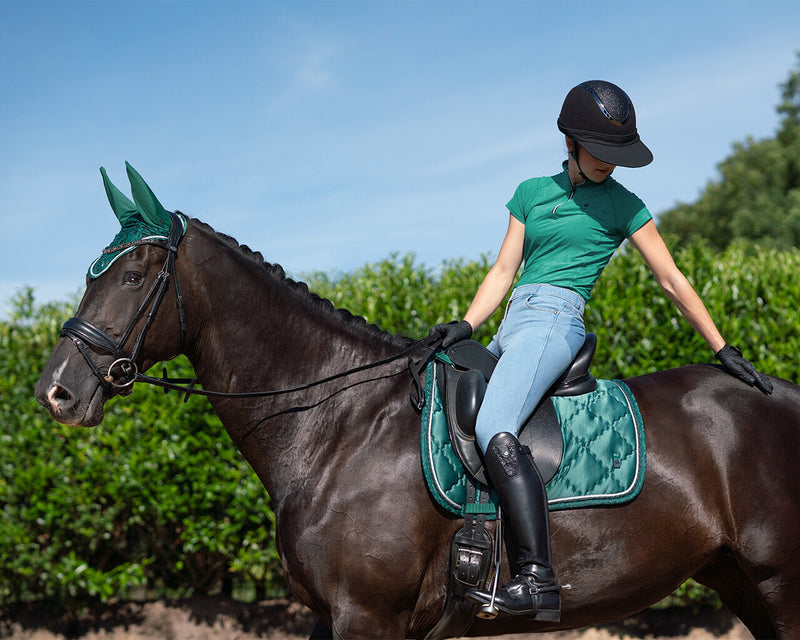 Sun Visor for Helmet