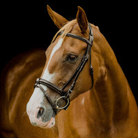 Padded Raised Hanoverian Bridle - Brown