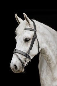 Wide Padded Hunt Bridle - Black