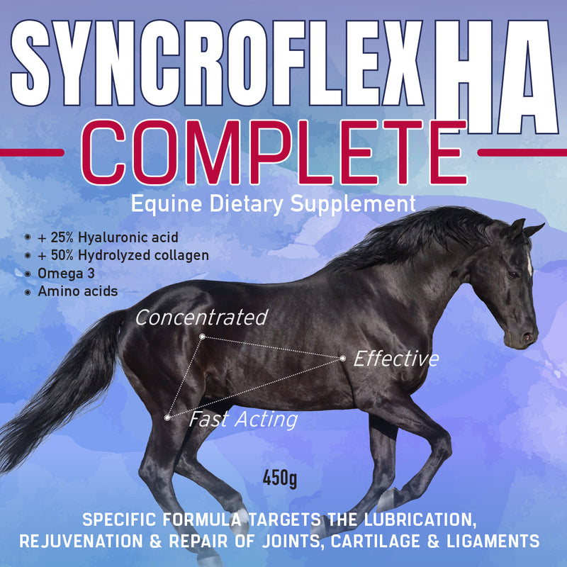 Syncroflex Complete 450gm