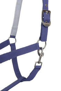 Rising Star Halter & Lead Set - Ice Water