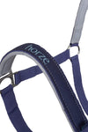 Rising Star Halter & Lead Set - Ice Water