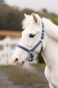 Rising Star Halter & Lead Set - Ice Water