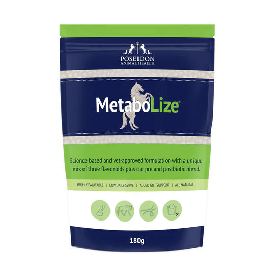 MetaboLize