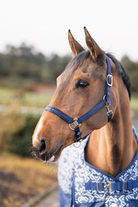 Urban Vitality Halter - Insignia Blue