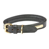 Padded Leather Dog Collar