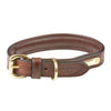 Padded Leather Dog Collar