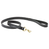 Leather Dog Lead