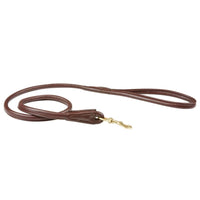 Rolled Leather Dog Lead