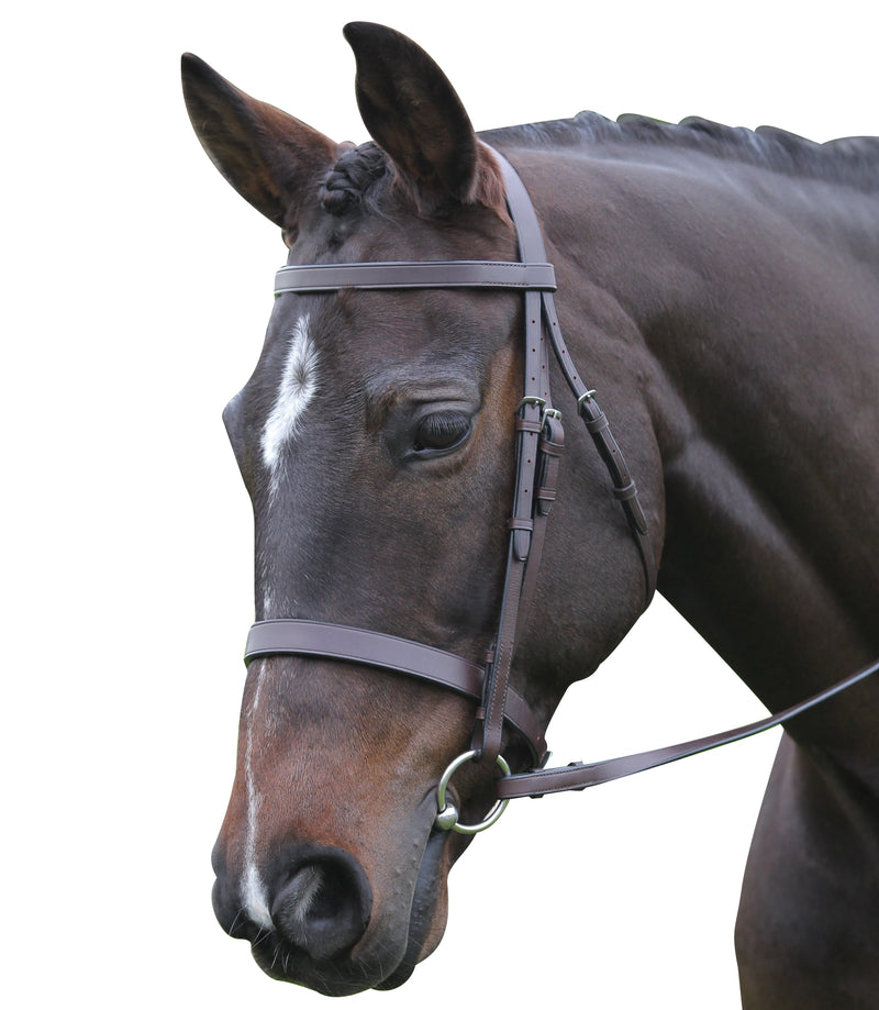 Flat Cavesson Bridle