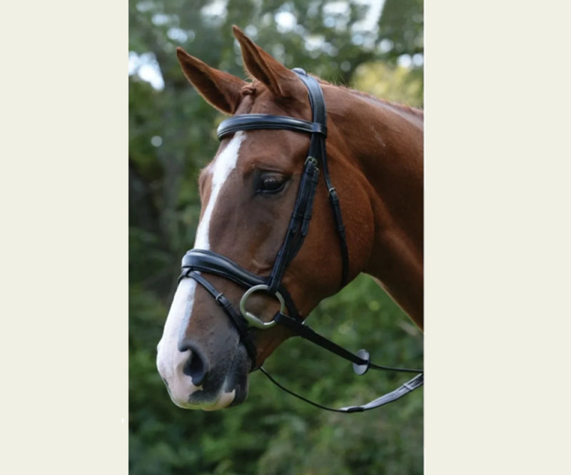 Comfort Anatomical Bridle