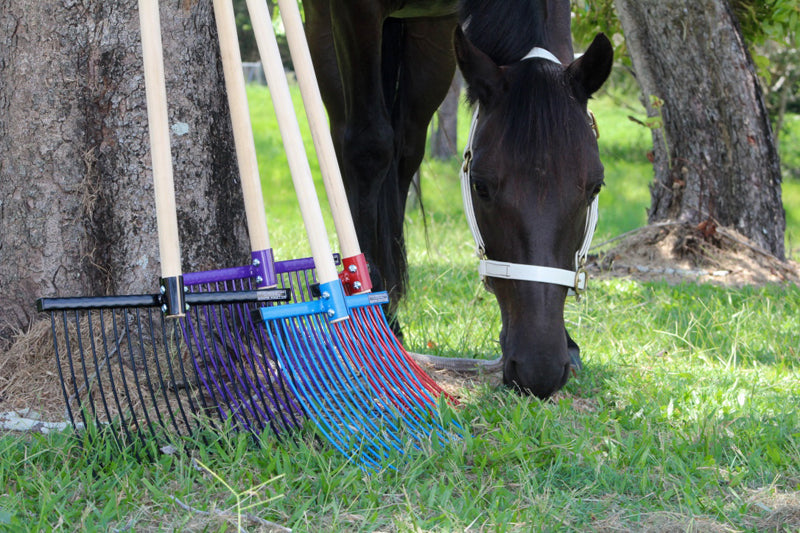 Stable Fork